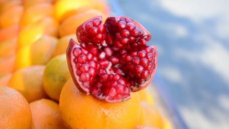 Vibrant Fruit Harmony wallpaper
