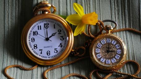 Timeless Elegance of Vintage Clocks and Nature's Touch wallpaper