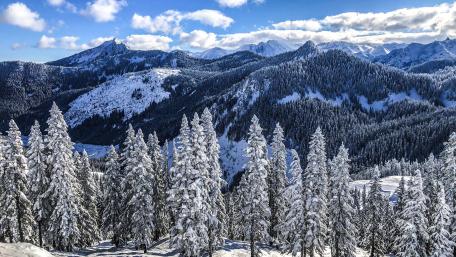 Majestic Winter Wonderland Scene wallpaper