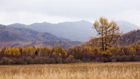 Golden Autumn in Serene Mountains wallpaper