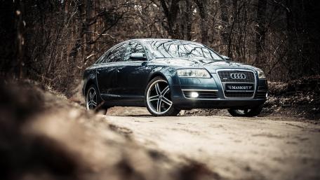 Sleek Audi in a Serene Forest Setting wallpaper