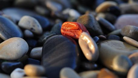 Colorful Pebbles on a Tranquil Shoreline wallpaper