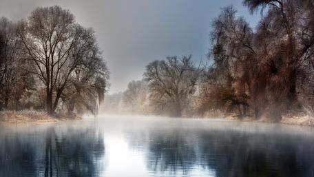 Serene Misty Morning by the River wallpaper