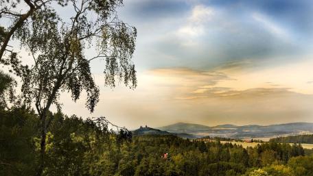 Serene Landscape of Rolling Hills and Trees wallpaper