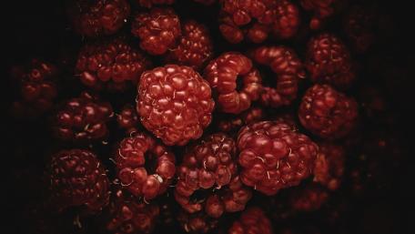 Juicy Raspberries in Dark Background wallpaper