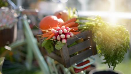 Vibrant Harvest in a Bicycle Basket wallpaper