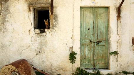Whimsical Feline in an Abandoned Setting wallpaper