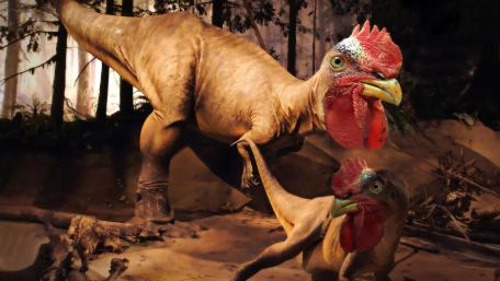 When Chickens Met Dinosaurs wallpaper