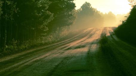 Serene Early Morning Country Road Scene wallpaper