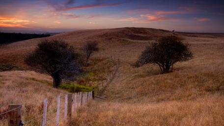 Tranquil Evening on Rolling Hills wallpaper