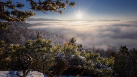 Majestic Sunrise Over Misty Forests wallpaper