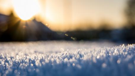 Sparkling Frost at Dawn wallpaper