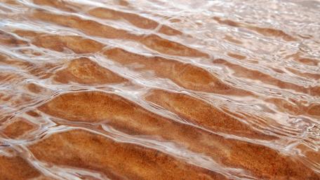 Serene Waves Dancing on Sand wallpaper
