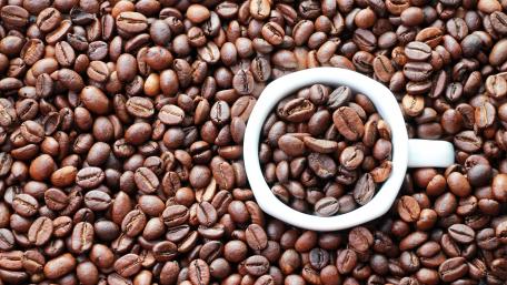 Coffee Lover's Delight in Brown Shades wallpaper