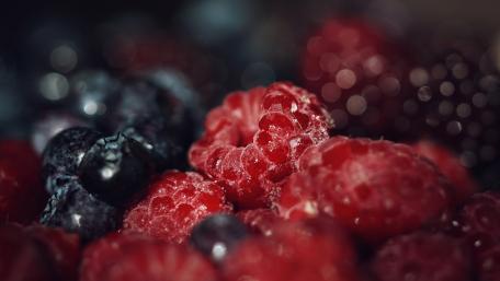 Berry Delight in Focus wallpaper