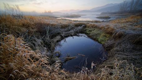 Serene Morning Reflection in Nature's Embrace wallpaper