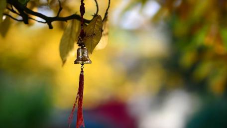 Golden Bell in Nature's Embrace wallpaper
