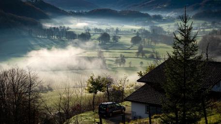 Serene Misty Morning in the Countryside wallpaper