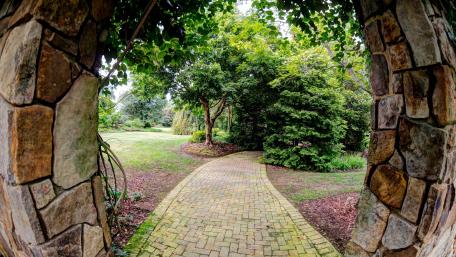 Serene Pathway Through Lush Greenery wallpaper