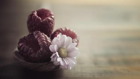 Delicate Berries and Blooming Beauty wallpaper