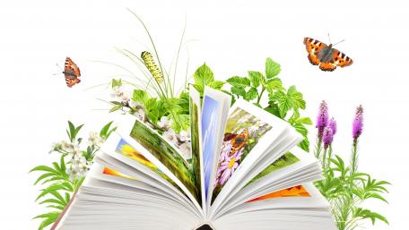 Dynamic Nature in a Page Turning Design wallpaper