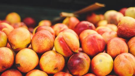 Vibrant Apples Overflowing Freshness and Flavor wallpaper