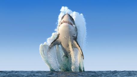 Majestic Shark Leaping from Ocean Waters wallpaper