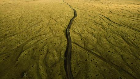 Winding Road Through Golden Fields wallpaper