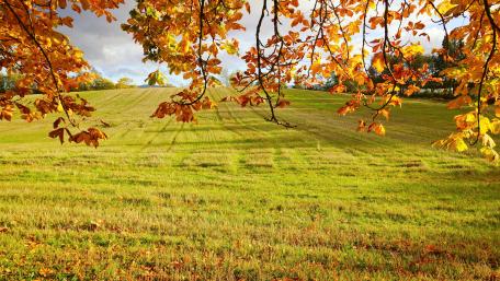 Fall scenery wallpaper