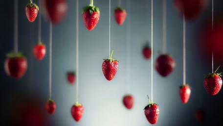 Delightful Hanging Strawberries in Focus wallpaper