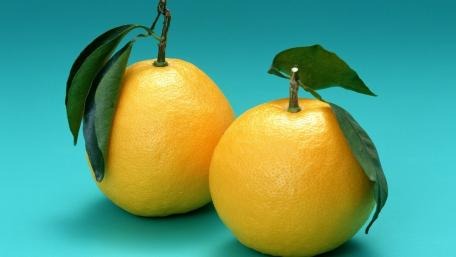 Citrus Delight Fresh Oranges Wallpaper wallpaper