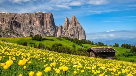 Seiser Alm at spring wallpaper