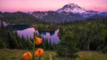 Serenity in Nature's Embrace wallpaper