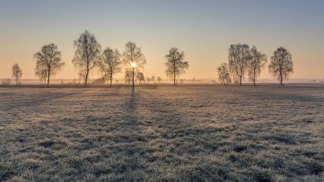 Serene Winter Sunrise Over Frosty Fields wallpaper