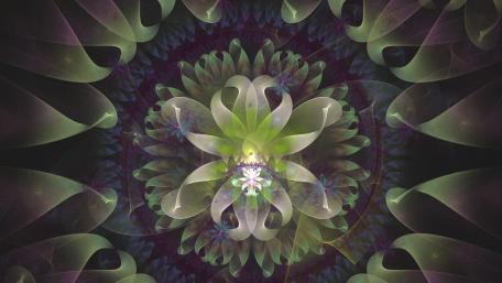 flower variation wallpaper