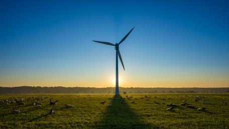 Tranquil Landscape with Wind Turbine and Grazing Sheep wallpaper