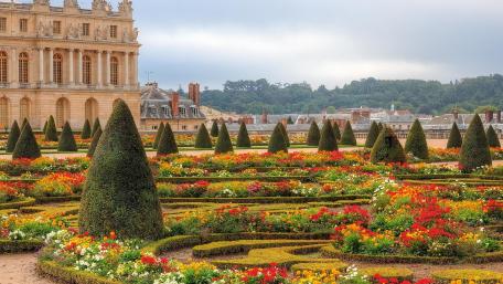 Elegant Gardens of Versailles Beauty wallpaper