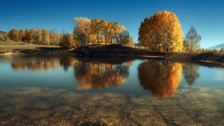 Golden Autumn Reflections on Tranquil Waters wallpaper