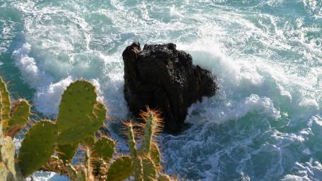 Serenity of Waves and Nature's Embrace wallpaper