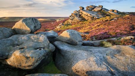 Majestic Rock Formations Amidst Vibrant Heather Fields wallpaper