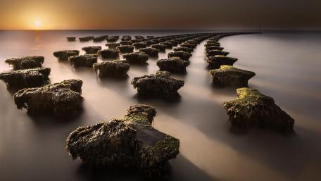Serenity at the Waters Edge wallpaper