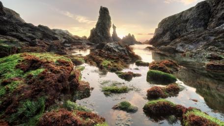 Majestic Coastal Rock Formations at Sunset wallpaper