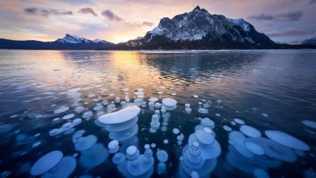 Frozen Beauty and Serenity of Nature wallpaper