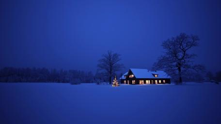 Winter Tranquility in a Snowy Landscape wallpaper