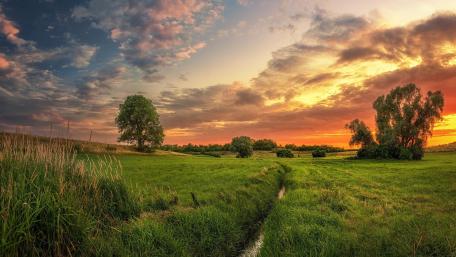 Serene Sunset Over Lush Green Fields wallpaper