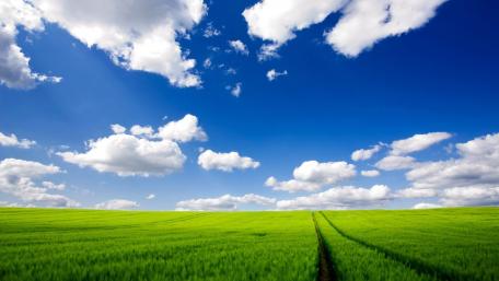 Vast Green Fields Under a Blue Sky wallpaper
