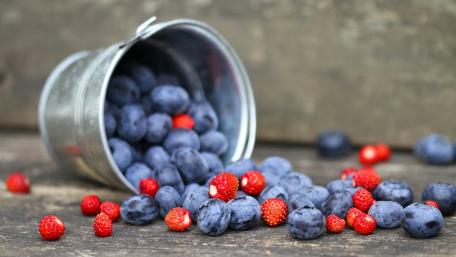 Freshly Picked Berries in a Bucket wallpaper