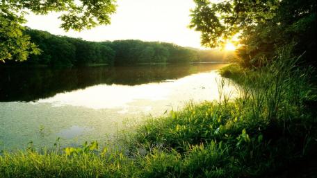 Serene Sunset by the Lake wallpaper