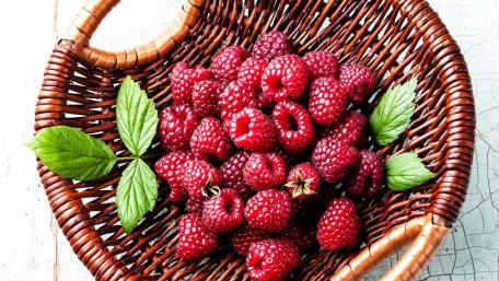 Freshly Picked Raspberries in a Basket wallpaper