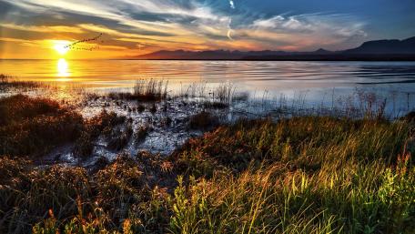 Tranquil Sunset Over Serene Waters wallpaper